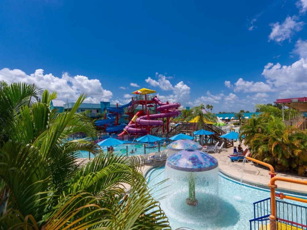 Flamingo Waterpark Resort Image 7